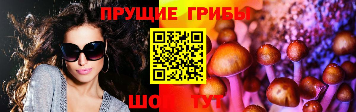 Галлюциногенные грибы Psilocybe  Вход с VPN  Псилоцибиновые грибы мицелий  Пыть-Ях 